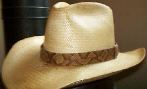 CopperheadHatband1.jpg