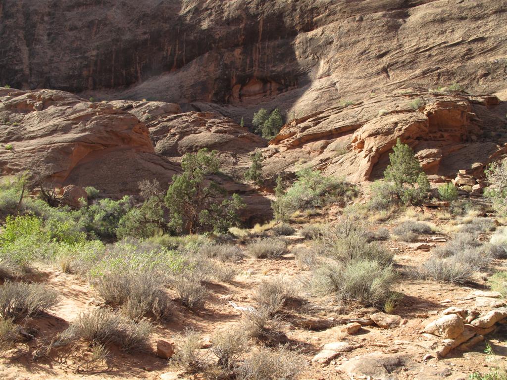 IMG_3060 (Large).JPG IMG_3060 (Large).JPG