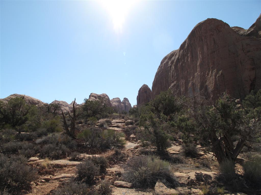 IMG_3066 (Large).JPG IMG_3066 (Large).JPG