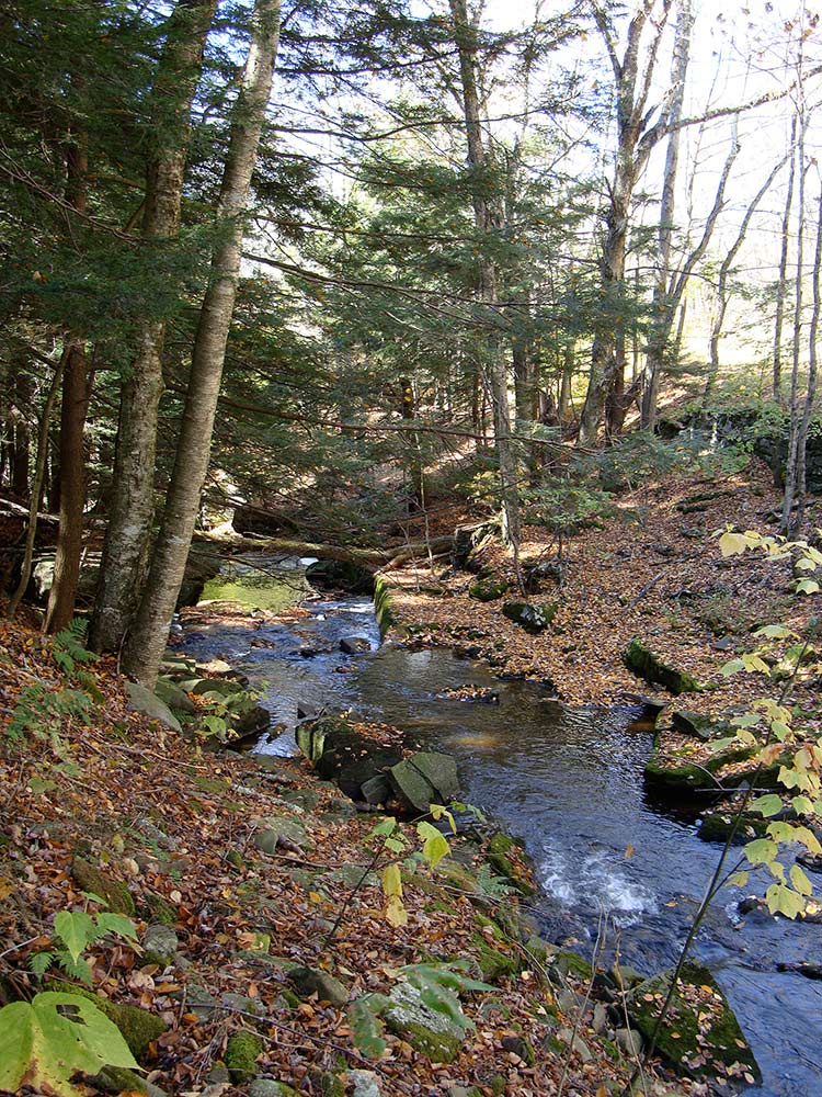 Alder-Lake-10-'12-#6.jpg