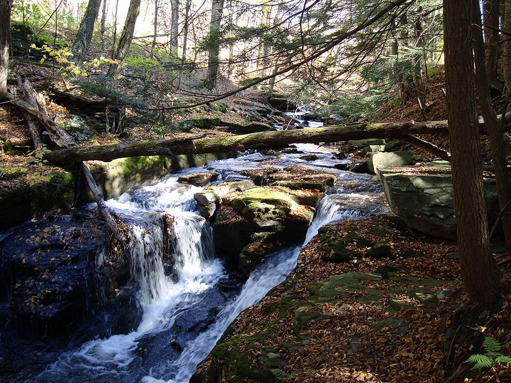 Alder-Lake-10-'12-#7.jpg