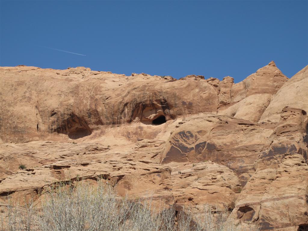 IMG_5718 (Large).JPG IMG_5718 (Large).JPG