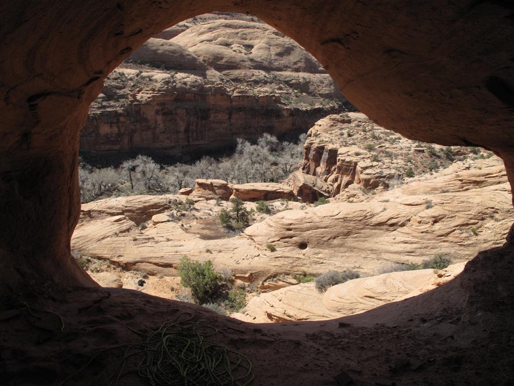 IMG_5710 (Large).JPG IMG_5710 (Large).JPG