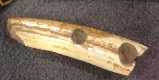 IMG_6129 (2).jpg IMG_6129 (2).jpg