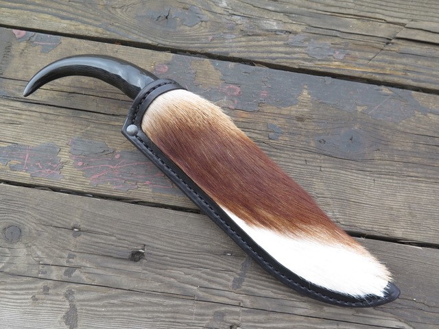 Springbok 1.jpg Springbok 1.jpg