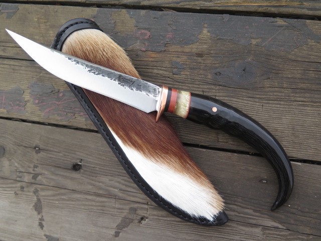 Springbok 2.jpg Springbok 2.jpg