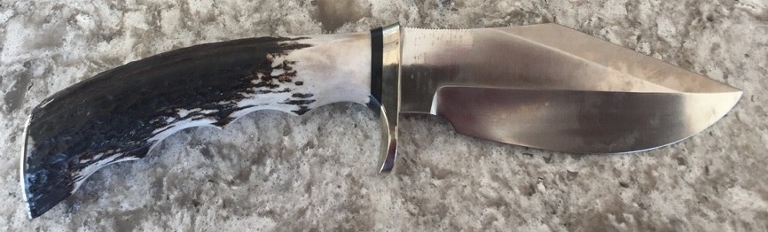 19 stag 2.jpg 19 stag 2.jpg