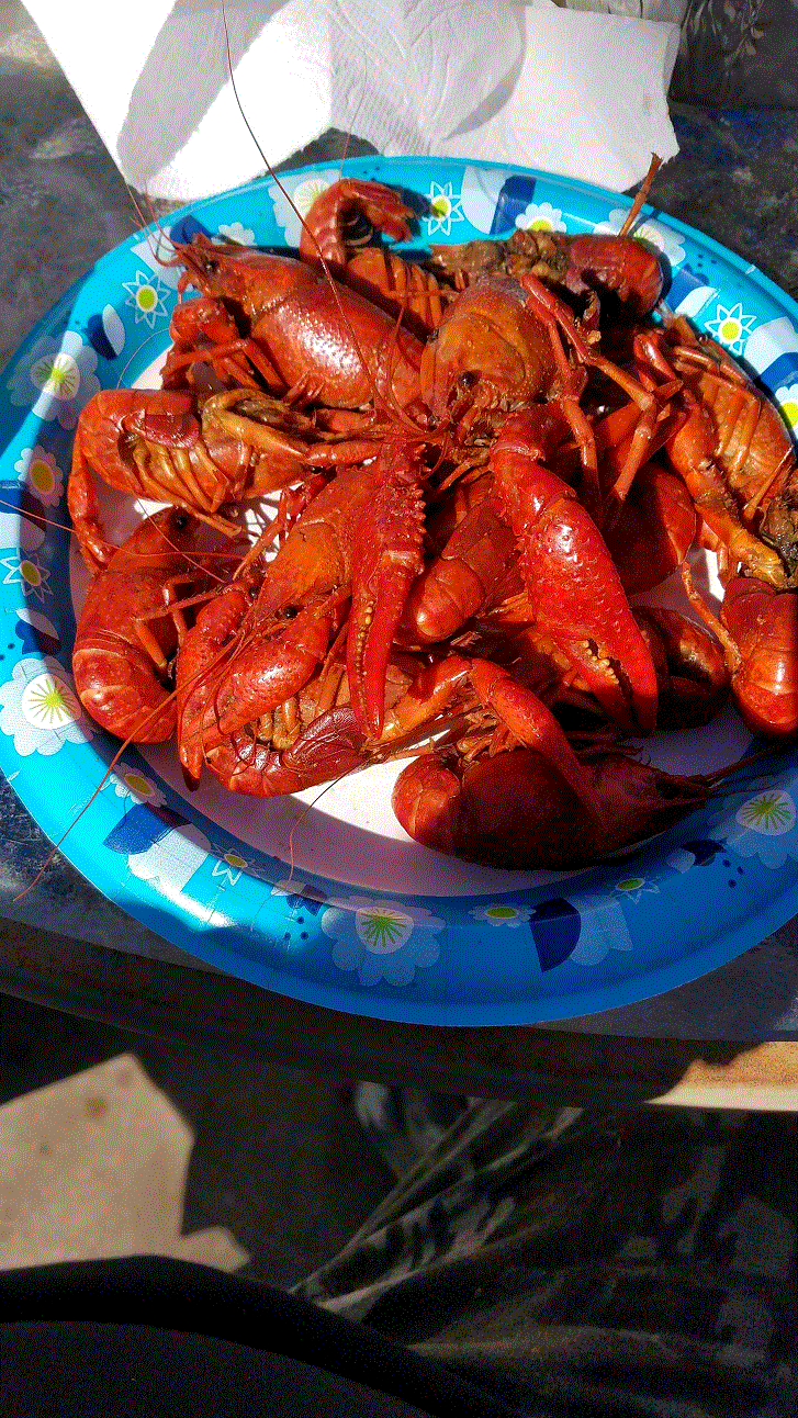 Bowl of Crawfish 3-29-19.gif Bowl of Crawfish 3-29-19.gif