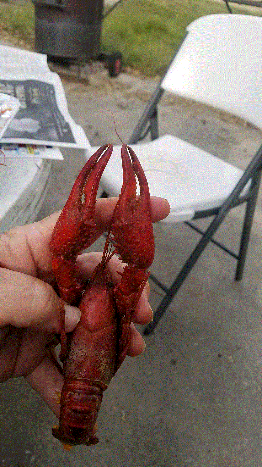 Big Crawfish 3-29-19.gif Big Crawfish 3-29-19.gif
