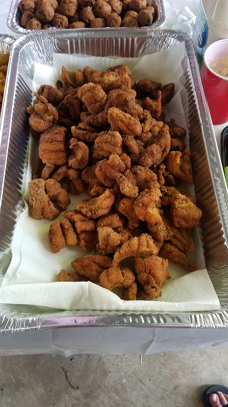 Catfish Fillets.gif Catfish Fillets.gif