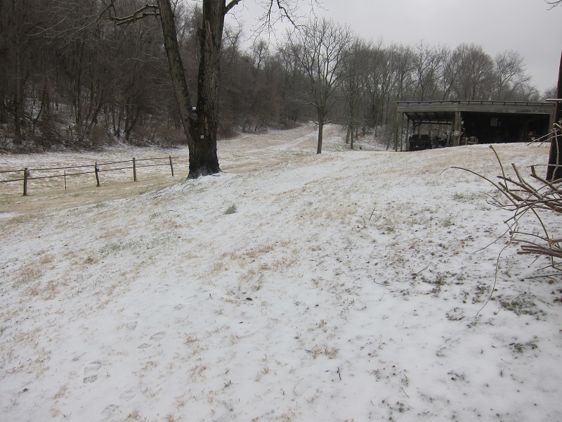 IMG_0789.JPG IMG_0789.JPG