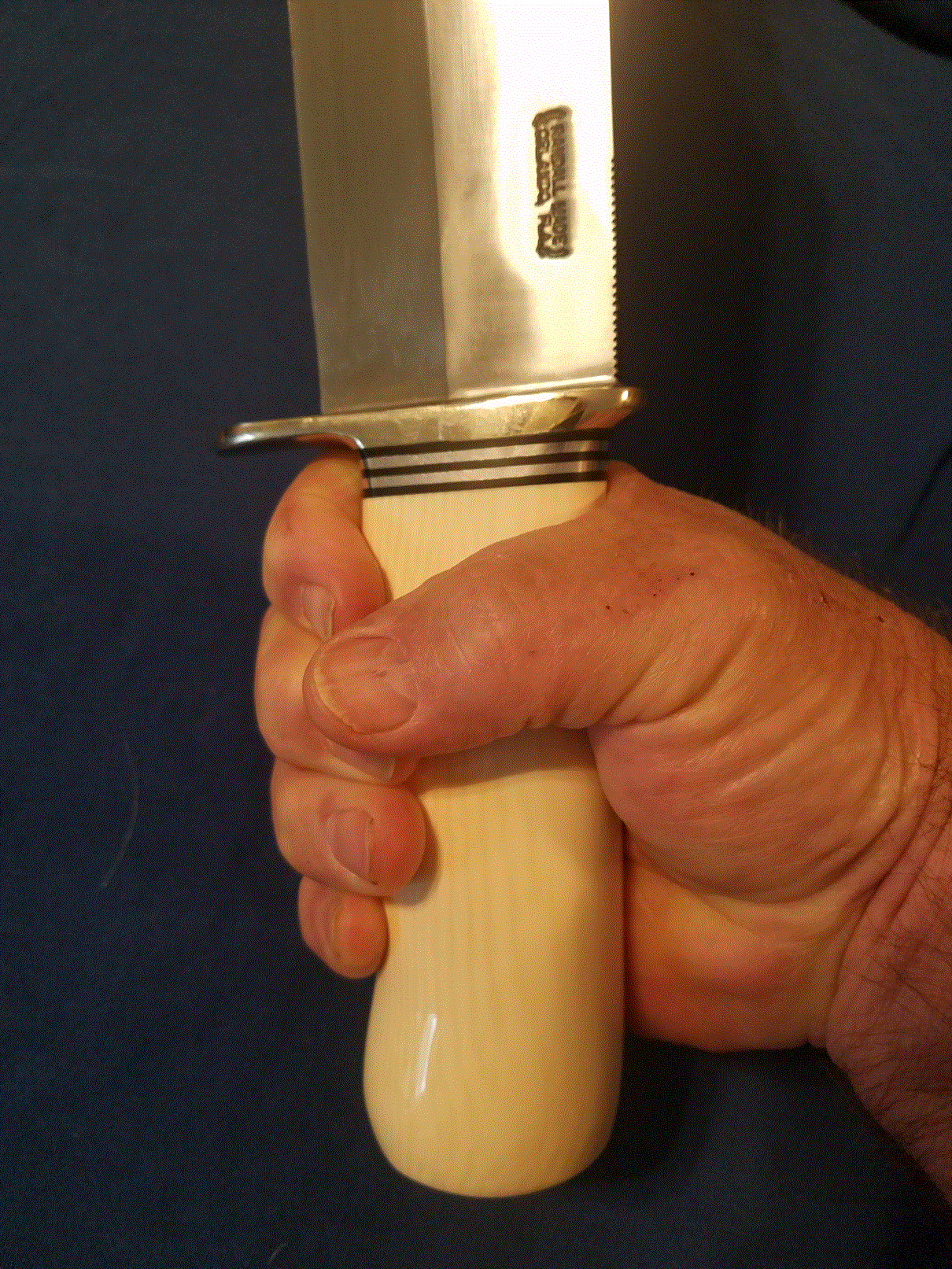 Smitty in Hand.gif Smitty in Hand.gif