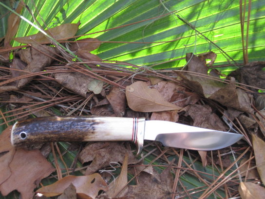 rsz_gtr_002.jpg rsz_gtr_002.jpg