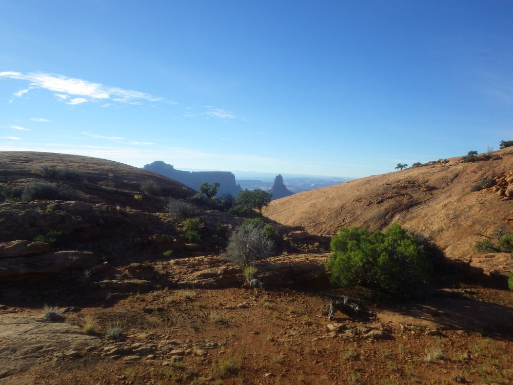 IMGP1598s.jpg IMGP1598s.jpg