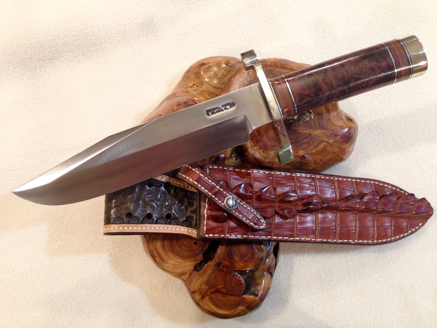 IMG_1593.jpg IMG_1593.jpg